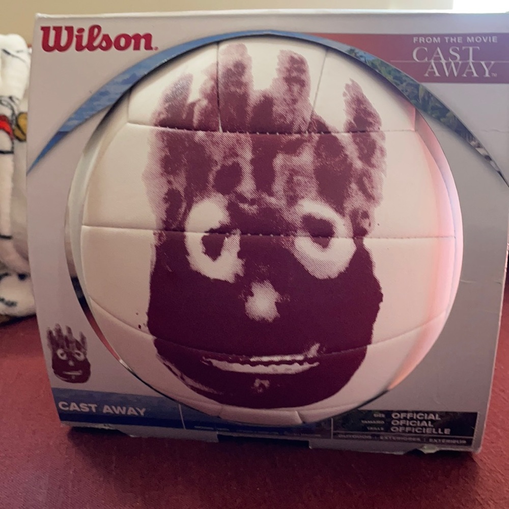 Official Wilson volleyball.🏐🏐🏐